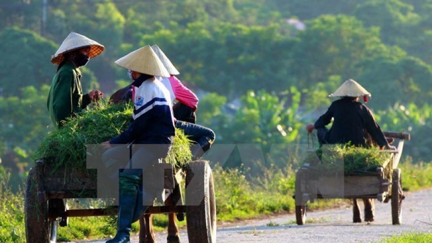 Central Highlands: 100 communes recognised as new-style rural areas