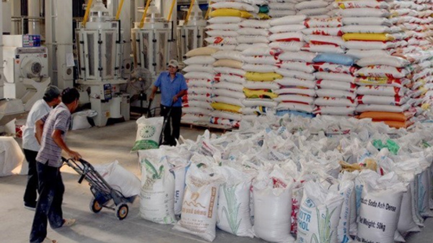 Vietnam promotes African, Mekong Francophone countries’ cooperation