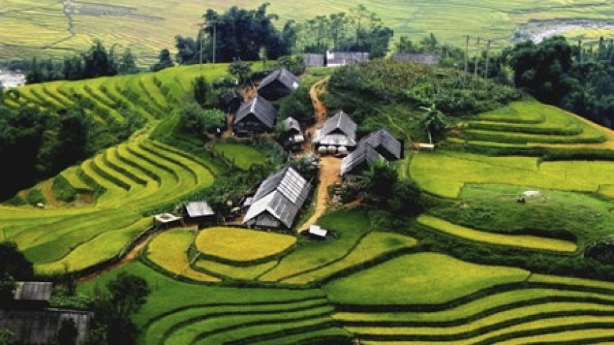 Sa Pa enjoys holiday season tourism boom