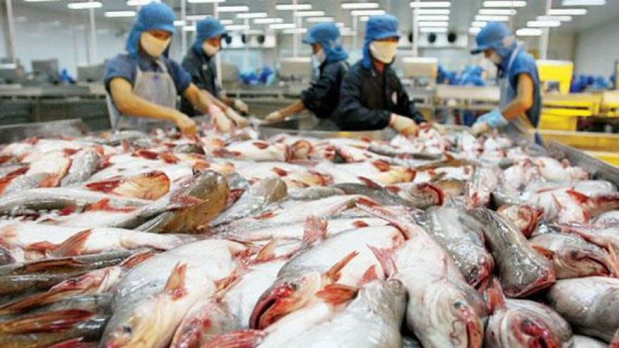 Catfish segment seeks to regain market share in the EU 