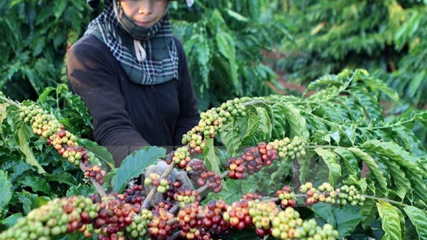 Dak Nong province – future growth pole of CLV Development Triangle