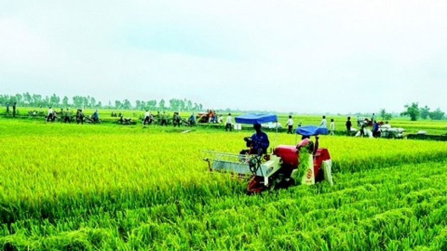 ANZ: Agriculture may slow Vietnam's economic growth