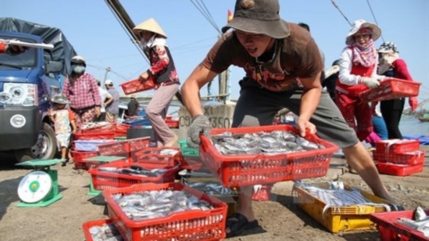 Tests show seafood samples from central provinces safe