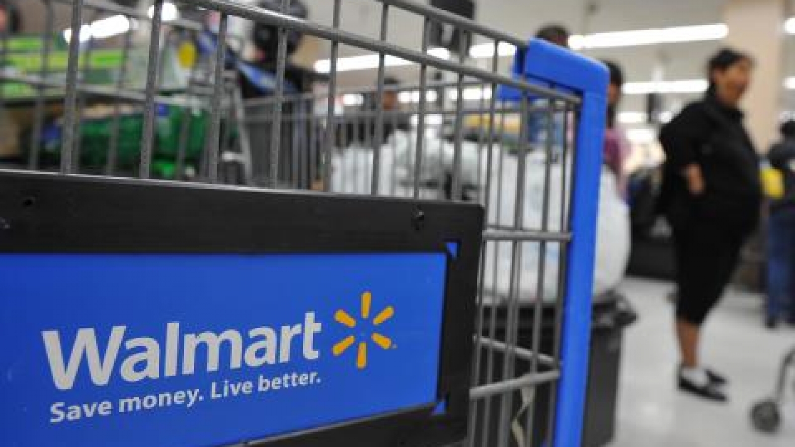 Can anyone hold a candle to Walmart if it enters Vietnam?
