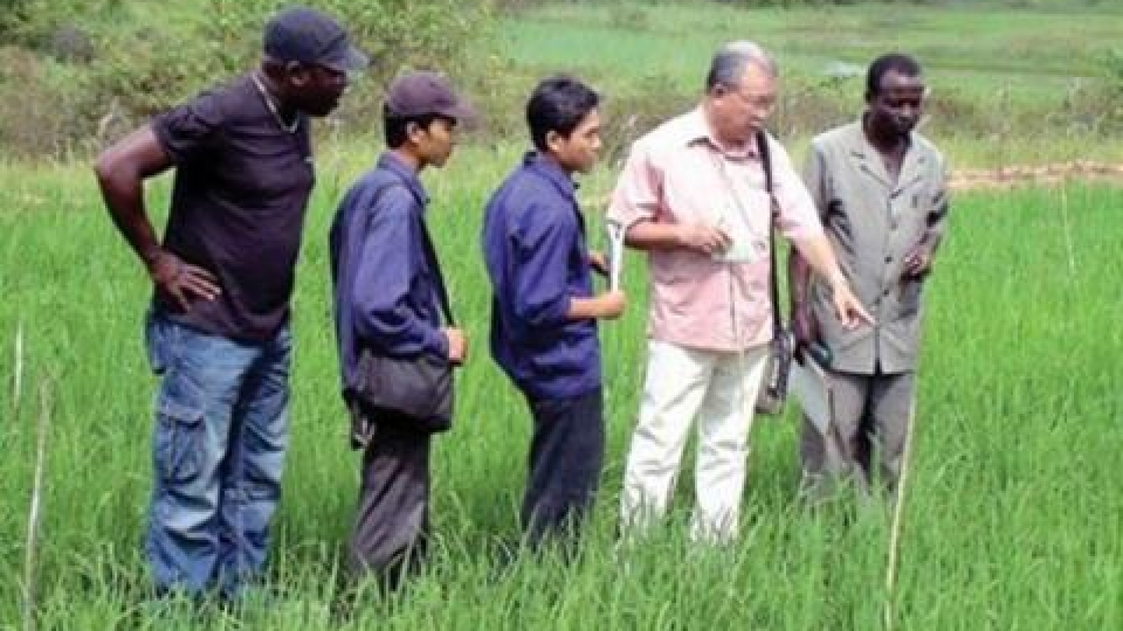 Vietnam warned it may yield to Myanmar in exporting rice