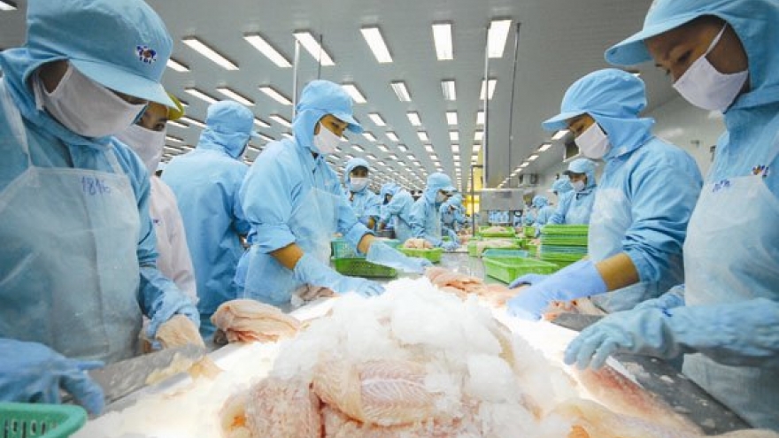 Exports down, revenue shrinks