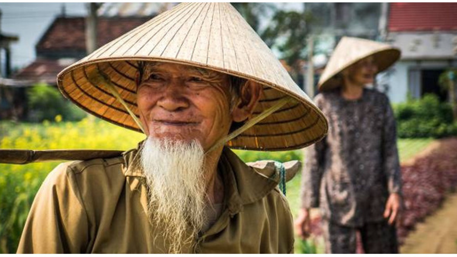 Vietnam agriculture faces stiff competition from imports