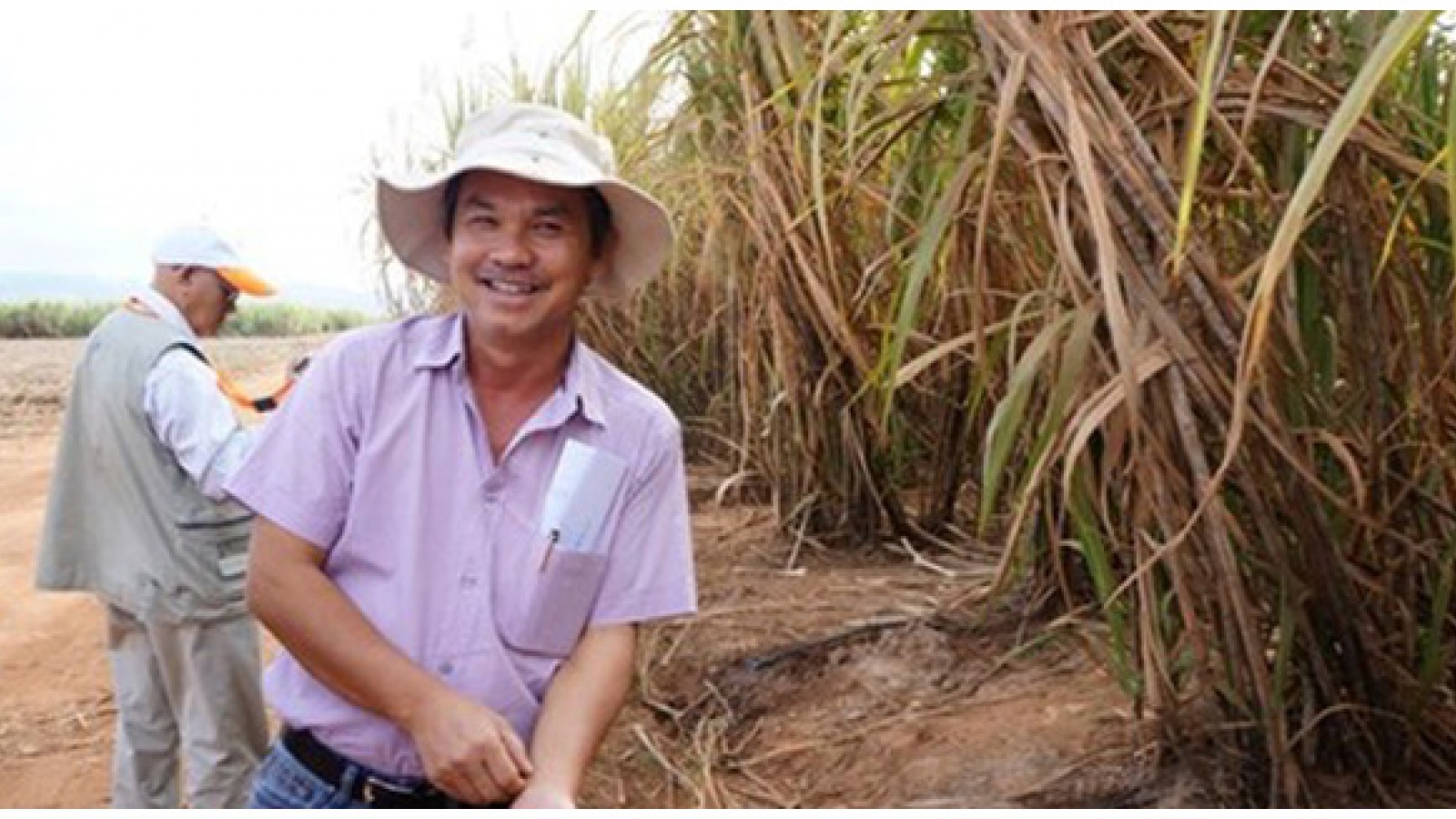 Pouring money into agriculture: a gamble for Vietnamese tycoons