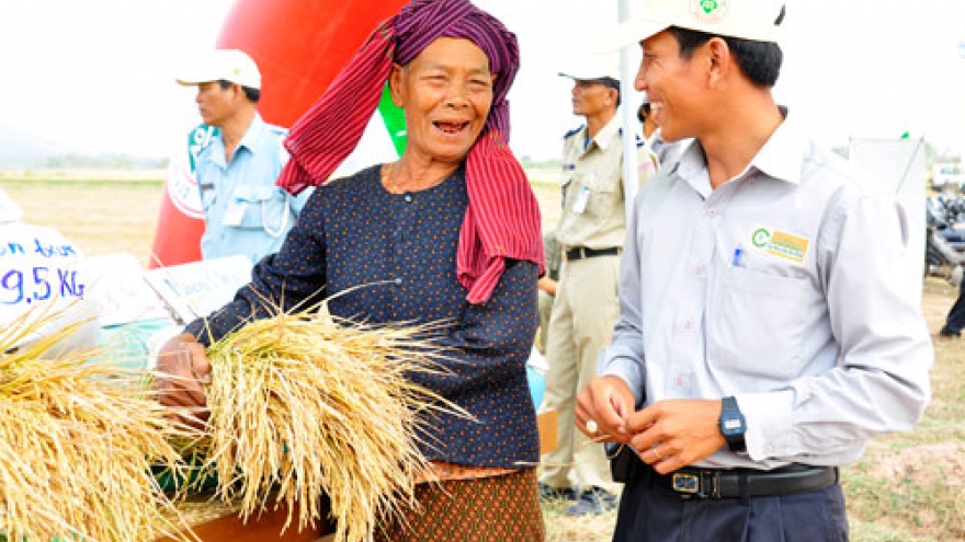 Vietnamese go abroad to breed cows, grow rice