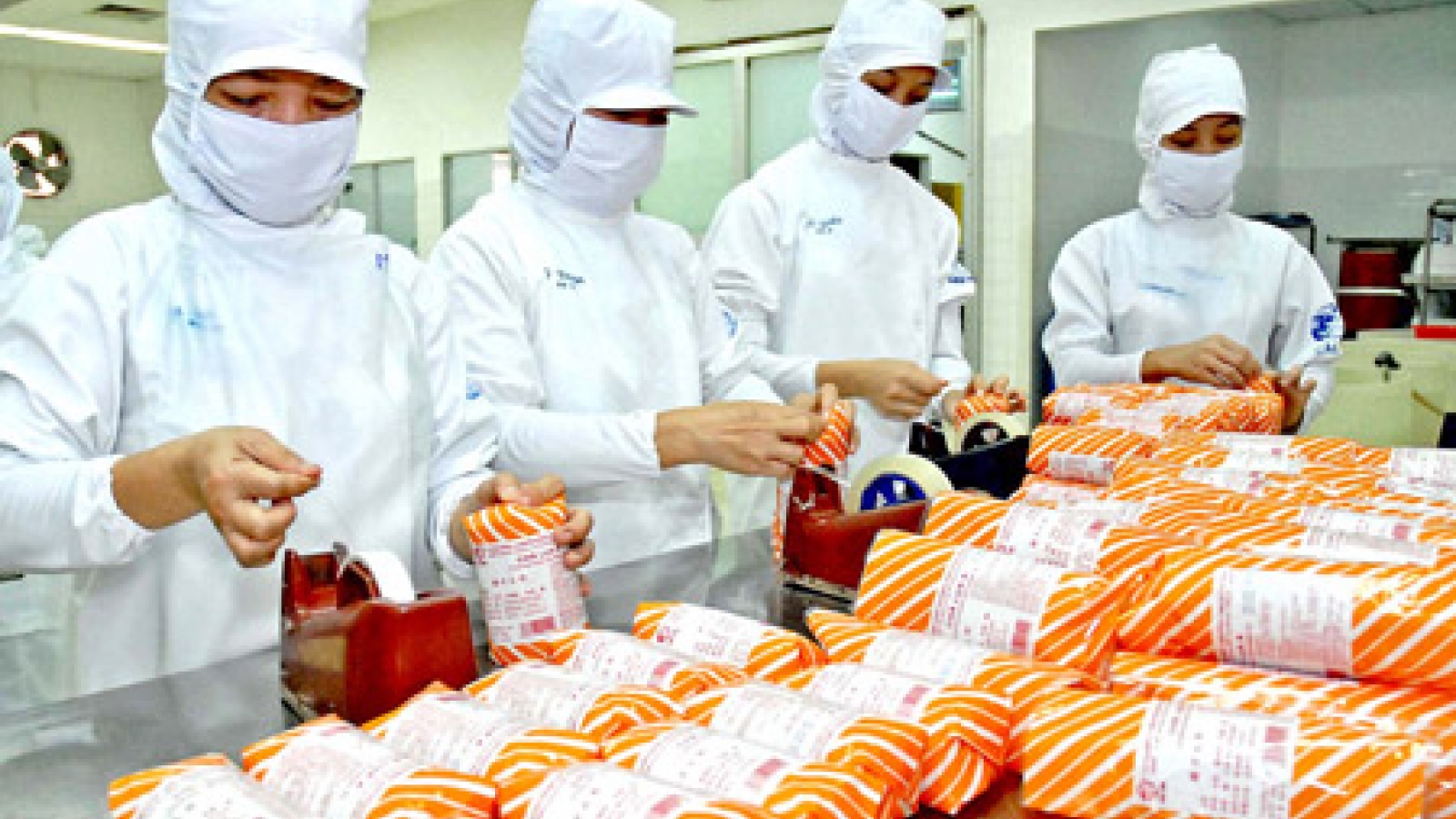 Food processing industry in Mekong Delta still not attracting investors