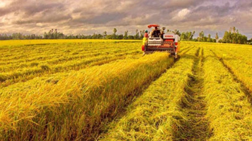 Agriculture sector expects further investments with slashed policies