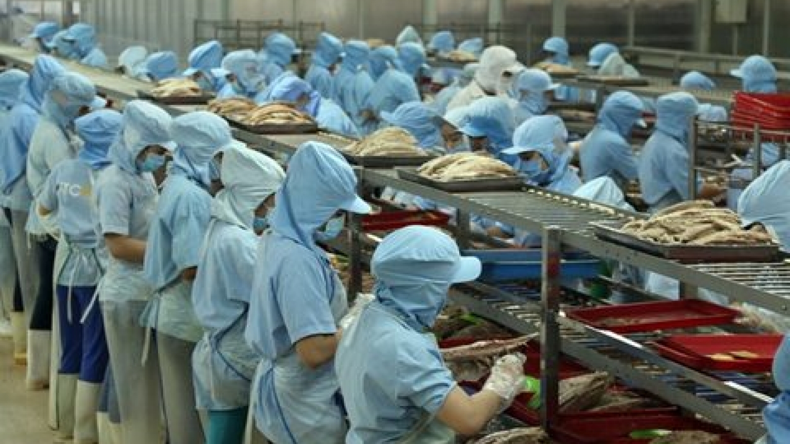Vietnam’s economic reform hopes seen fading over failed TPP