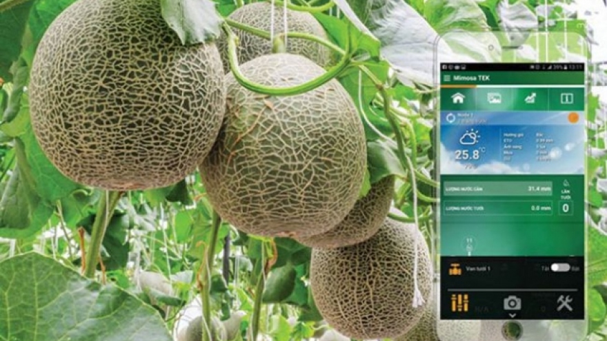 Vietnam moves towards high-tech agriculture