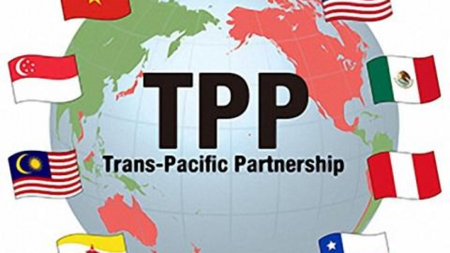What benefits will Vietnam get from TPP without the US?