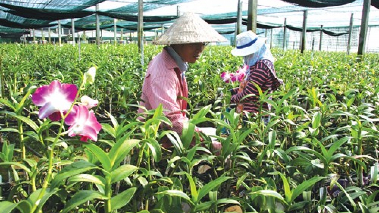 Clean agriculture: investment trends for powerful capitalists