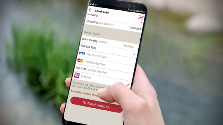 Empowered by foreign capital, e-wallets flourish