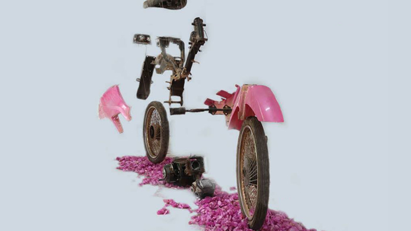Art Exhibition “The smile of mutation” in Hanoi