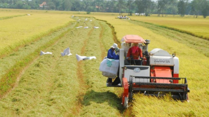 
        Mekong Delta faces big challenges: Climate change, hydropower plants
                              