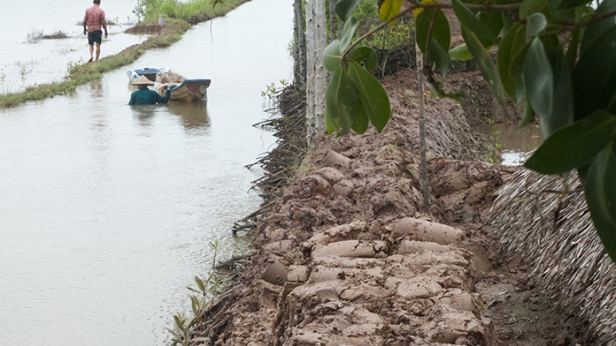 
        How has climate change affected Vietnam?
                              