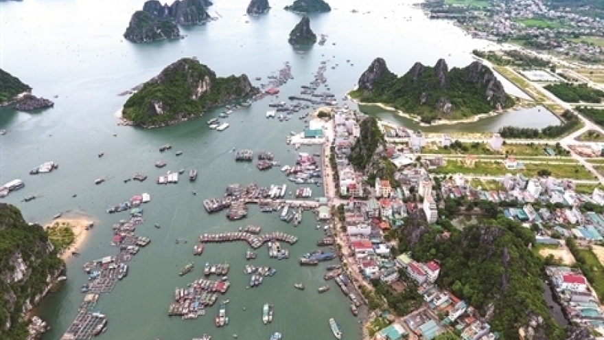 Van Don changes rapidly, ready for Special Economic Zone