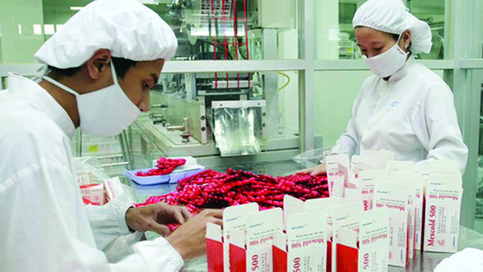 Vietnam looks for more FDI into pharmacy sector
