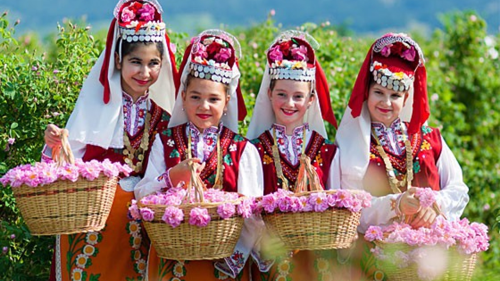 Bulgaria Rose Festival to take place in Hanoi next month