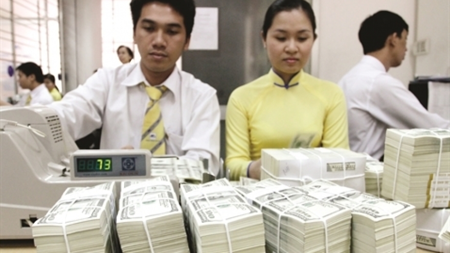 Vietnamese banks seek support from foreign capital