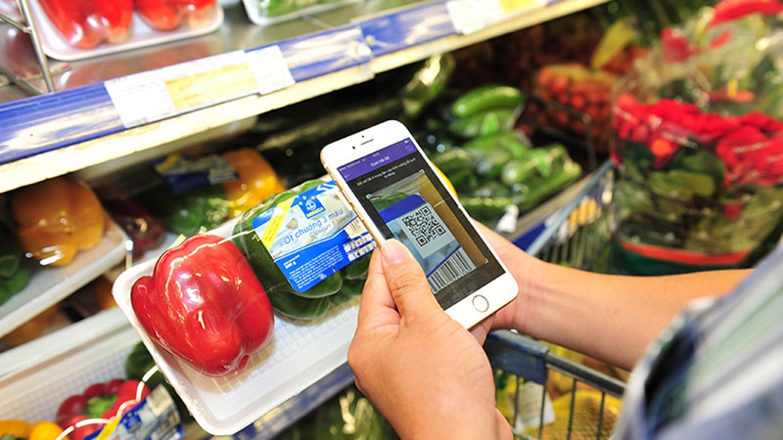 Blockchain technology traces farm produce origin in Vietnam
