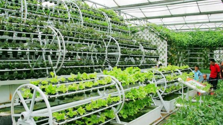 Where is Vietnam’s hi-tech agriculture?