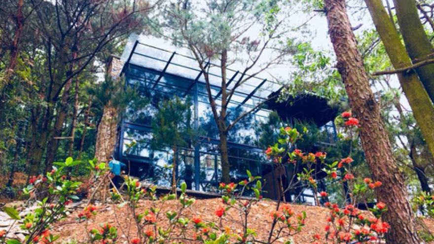 Homestays popular in Hanoi suburbs