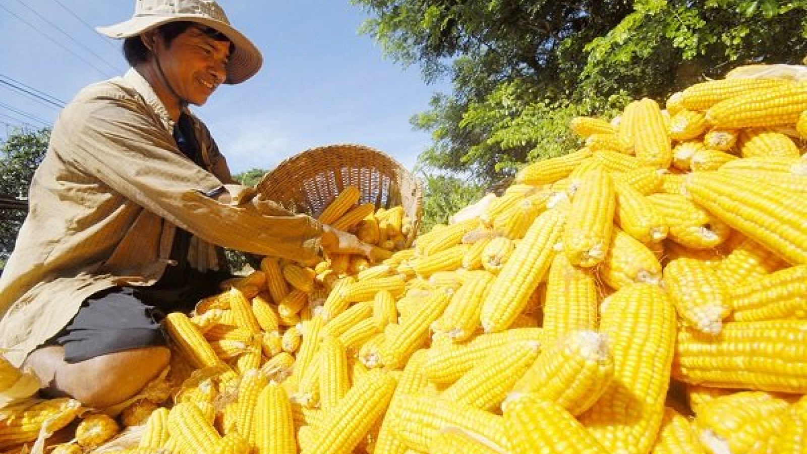 Hi-tech agricultural methods