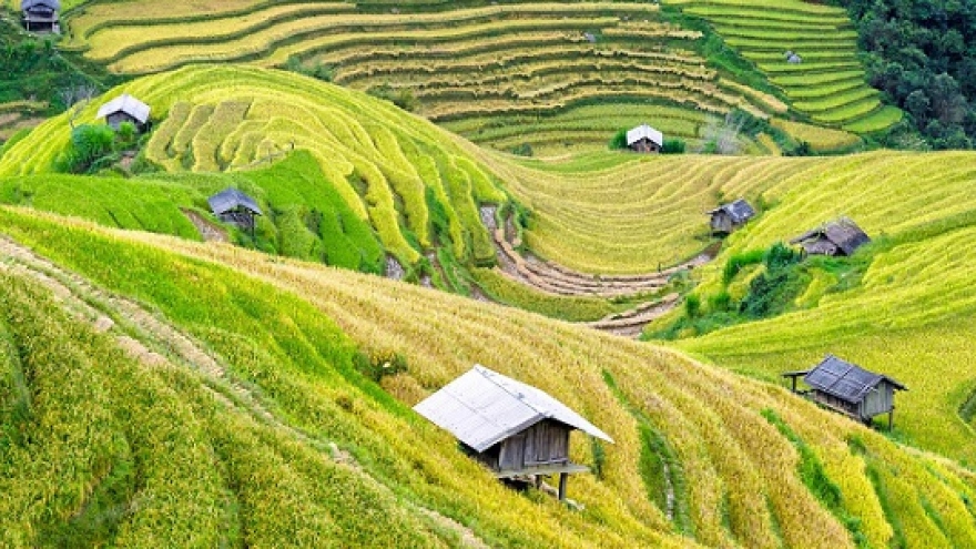 Sapa shines in Bold Outline’s list beautiful offbeat destinations