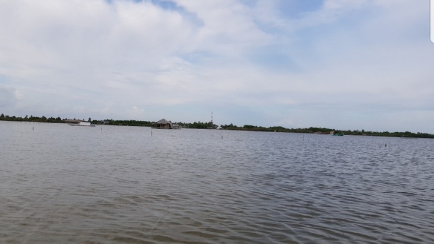 Thi Tuong lagoon – a major tourist attraction in Ca Mau province