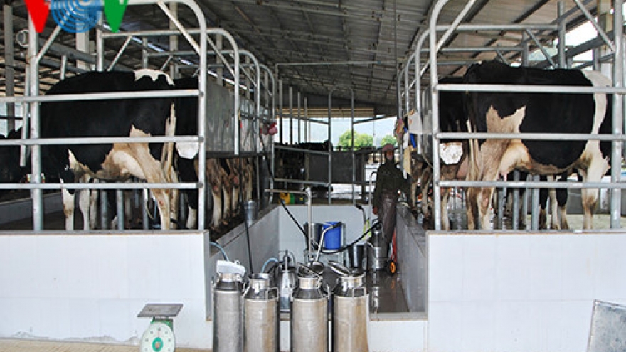 High-tech agriculture development in Son La