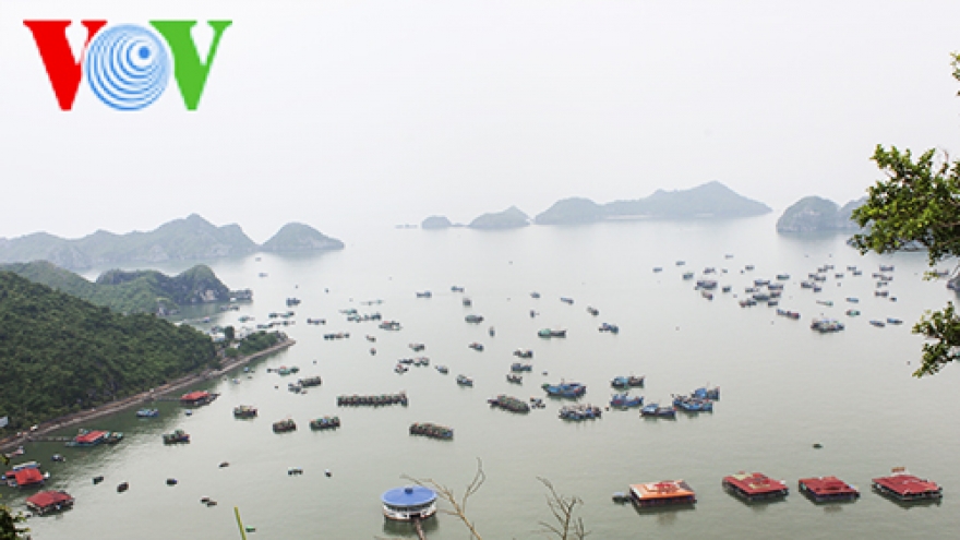 Lan Ha Bay viewed from Cannon Fort