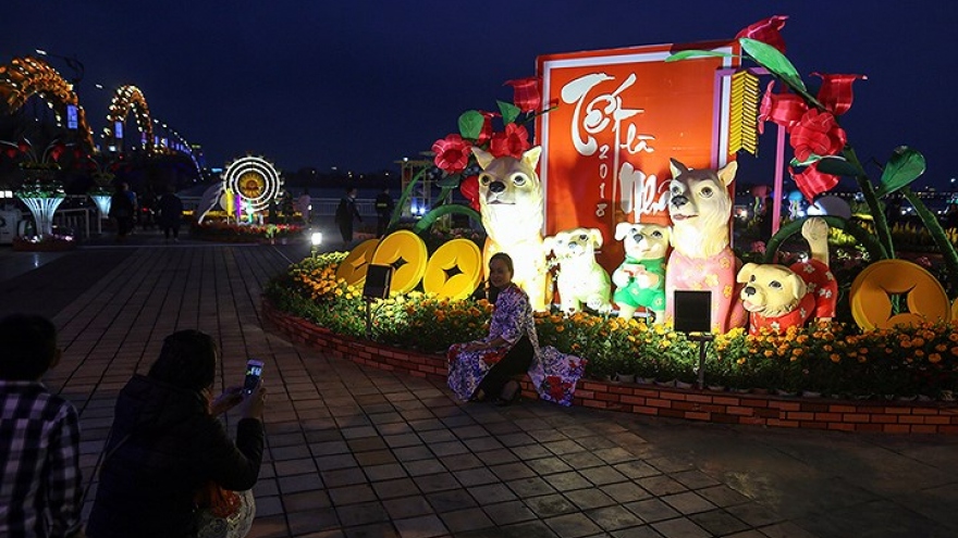 Da Nang residents check in on spring flower road 