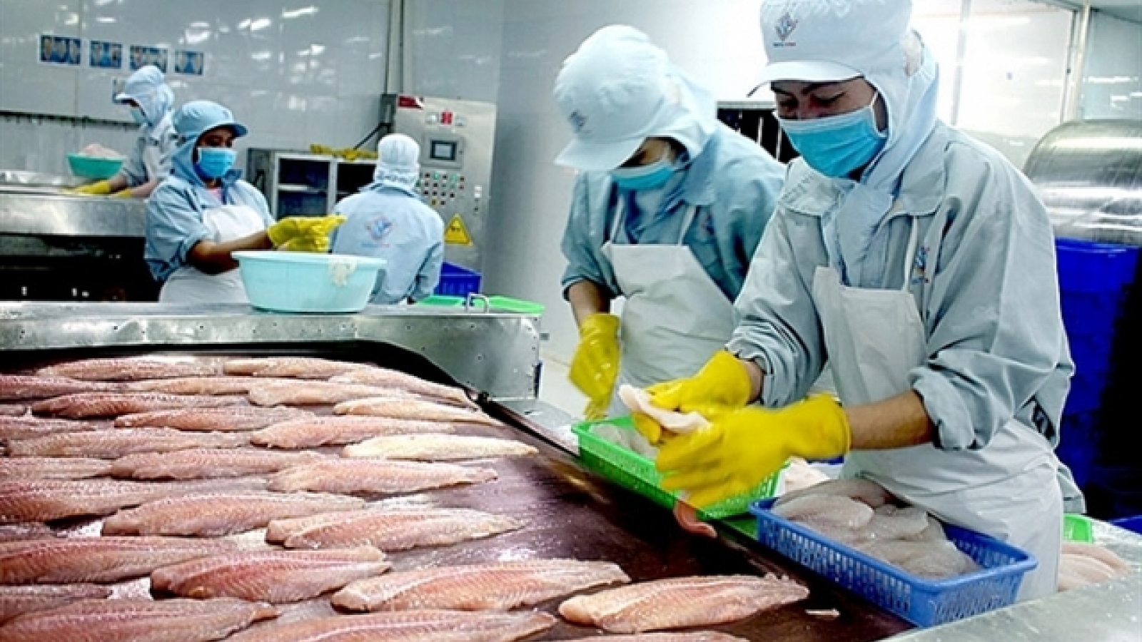 Pangasius exports to Southeast Asia up 14.6 per cent