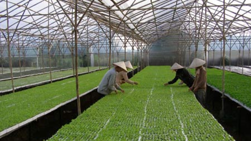 Making farming in the clouds a reality in Vietnam