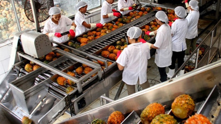 Production by value chains increases Vietnam’s vegetable and fruit exports