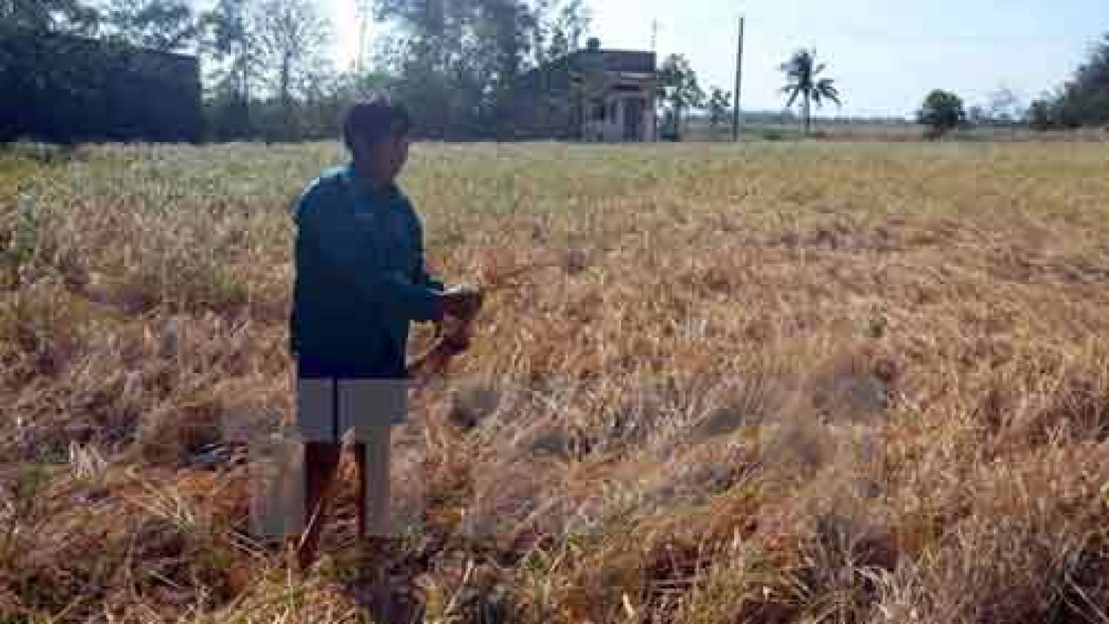 Climate change a threat to Mekong Delta