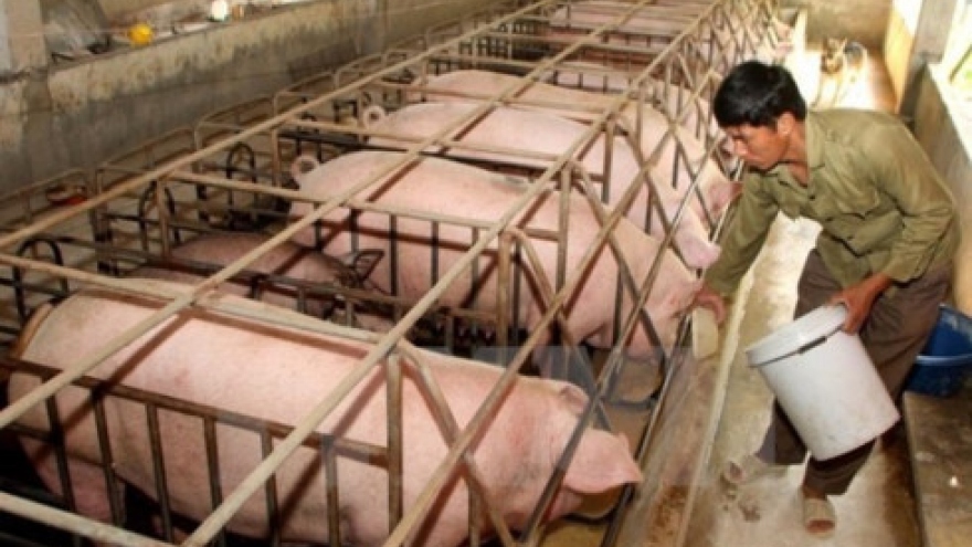 Feeding the need of livestock sector
