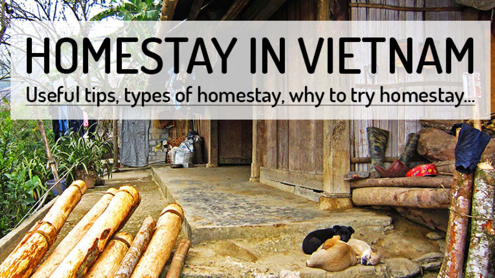 How should investors prepare for homestay race in Vietnam?