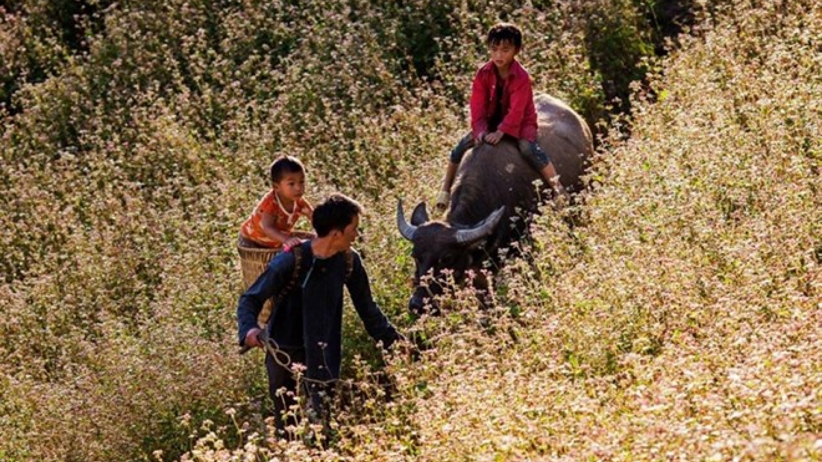 Photo contest on gender equality in Vietnamese families