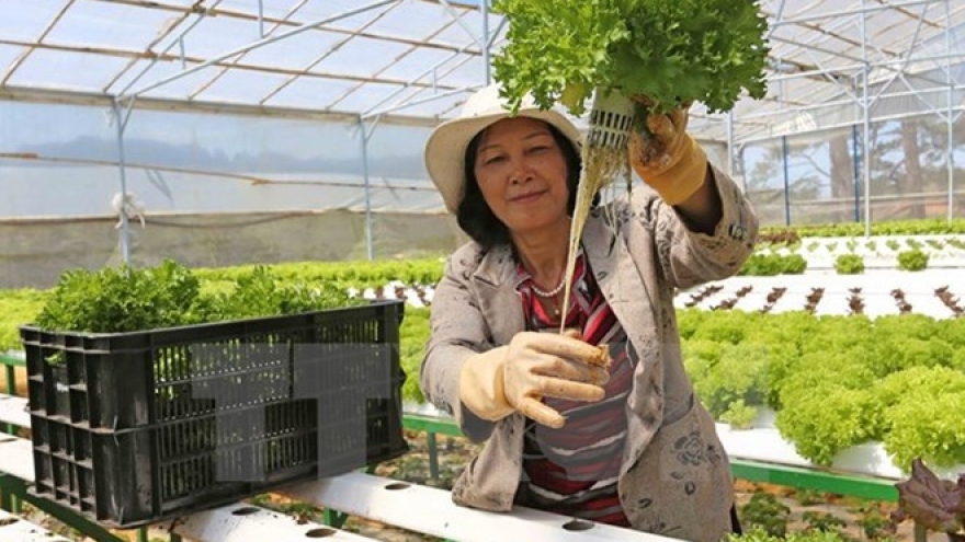 Vietnam province to get Japanese support to develop agriculture brand for export