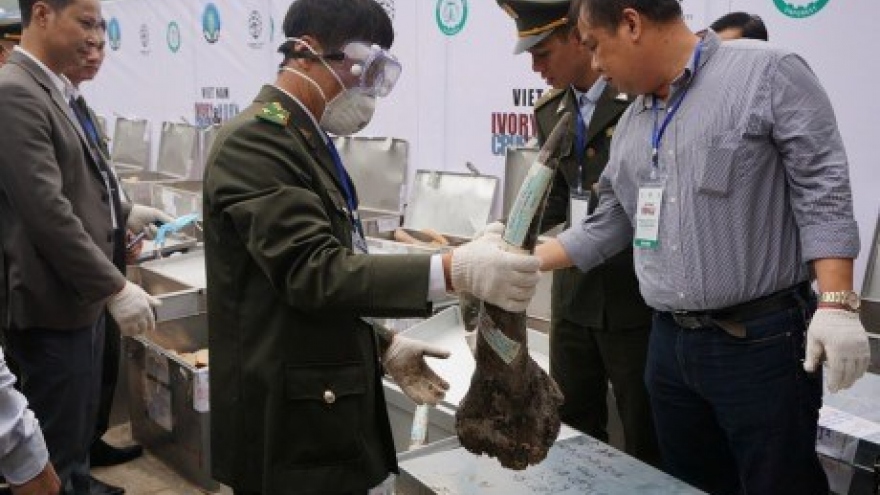 Wildlife trade fight needs community