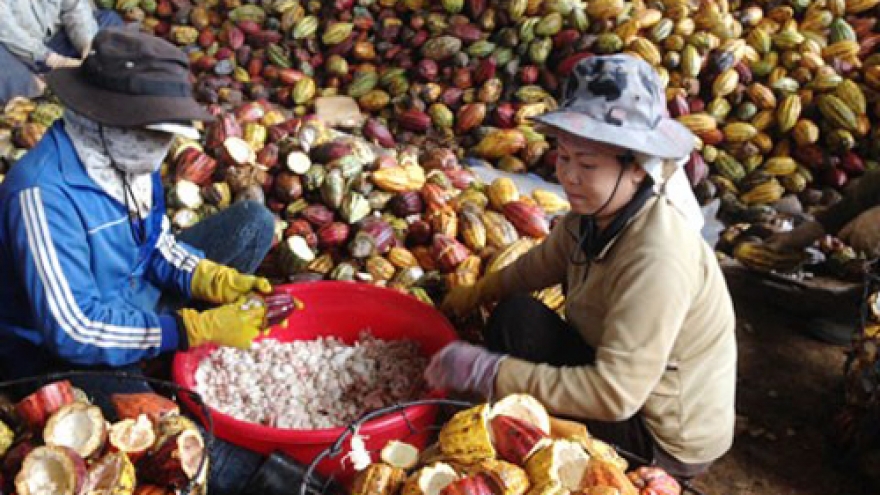 Vietnam’s chocolate sector looks to go premium
