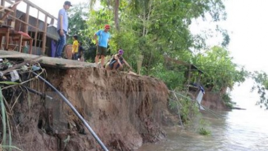 Mekong Delta struggles with erosion