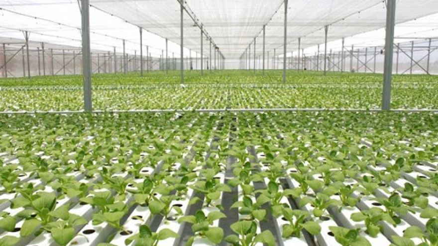 Vingroup: Growing green future for farming