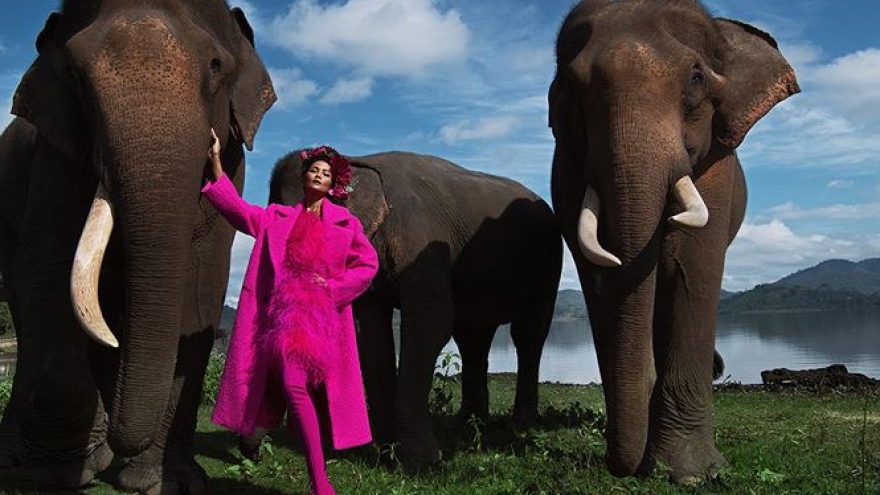 H'Hen Nie poses alongside elephants in latest photoshoot