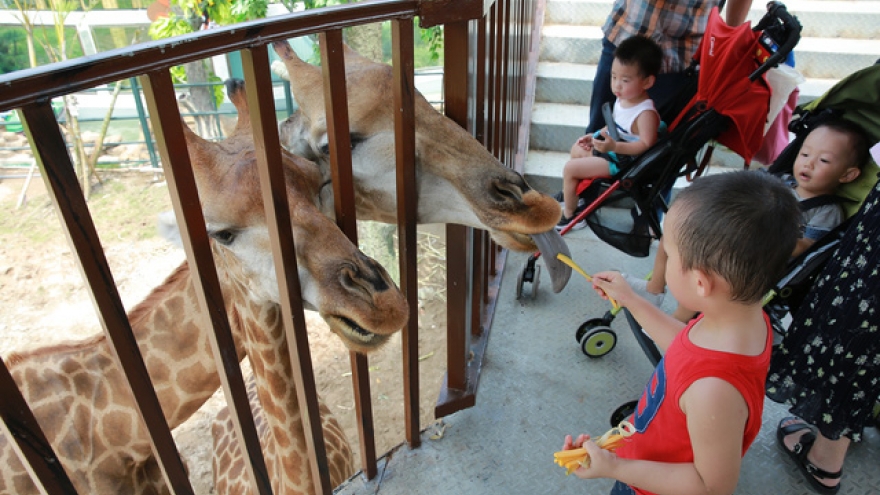 First Safari Park opens in Hanoi